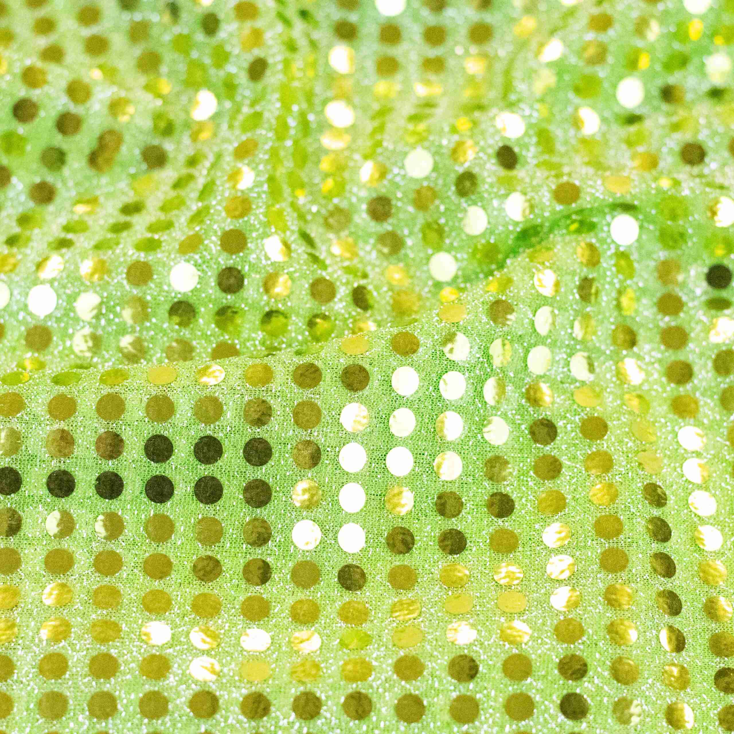 DYED SEQUIN (6MM) (LAW_3923)