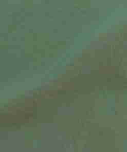 CATIONIC HIBAN GGT 3D (2927_24A)
