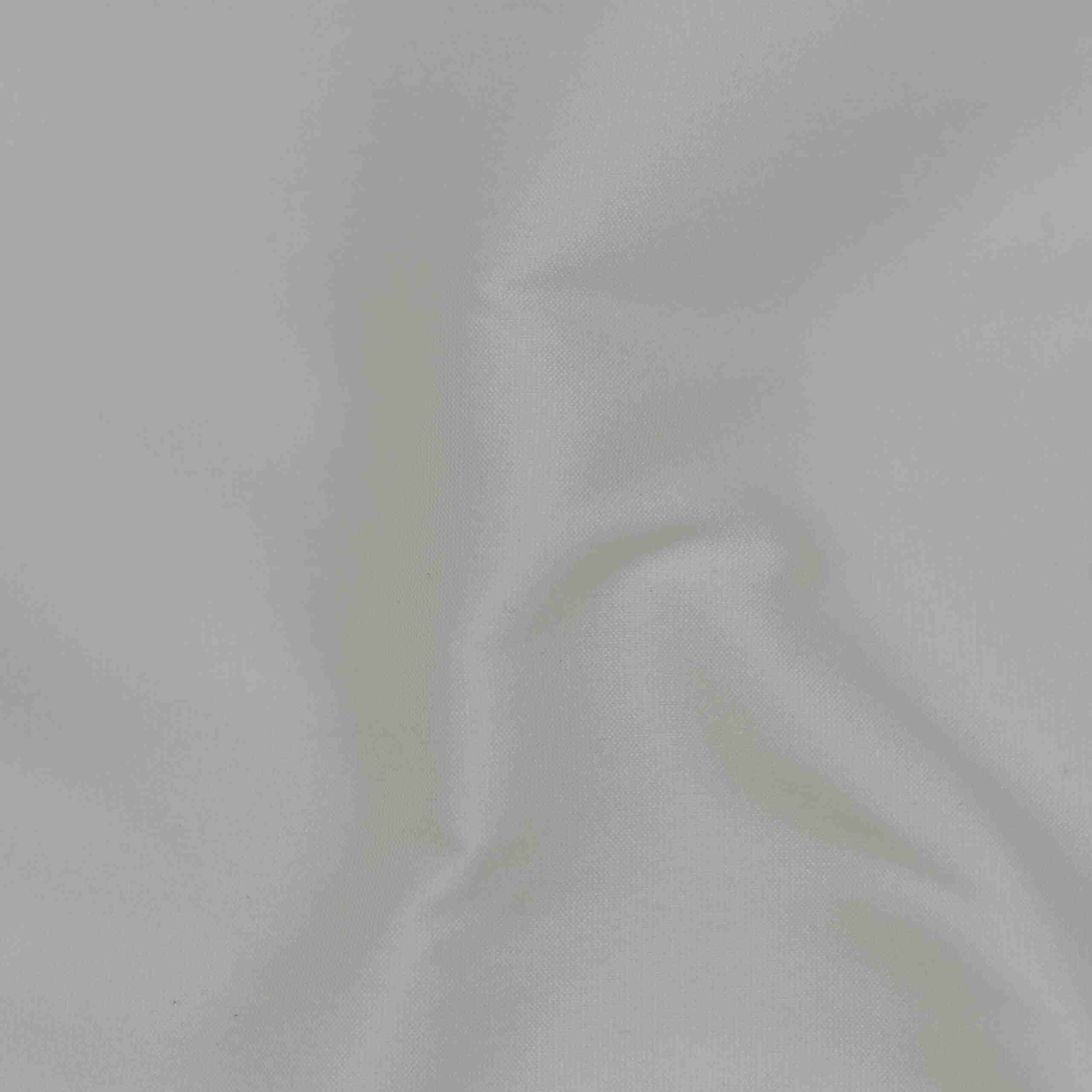 DYED RAW SILK (3180_A-2)