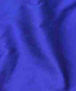 DYED RAW SILK (3180_A-22)