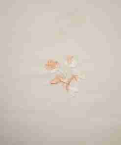 TWO TONE T/C EMBROIDERY (5394_A-3)