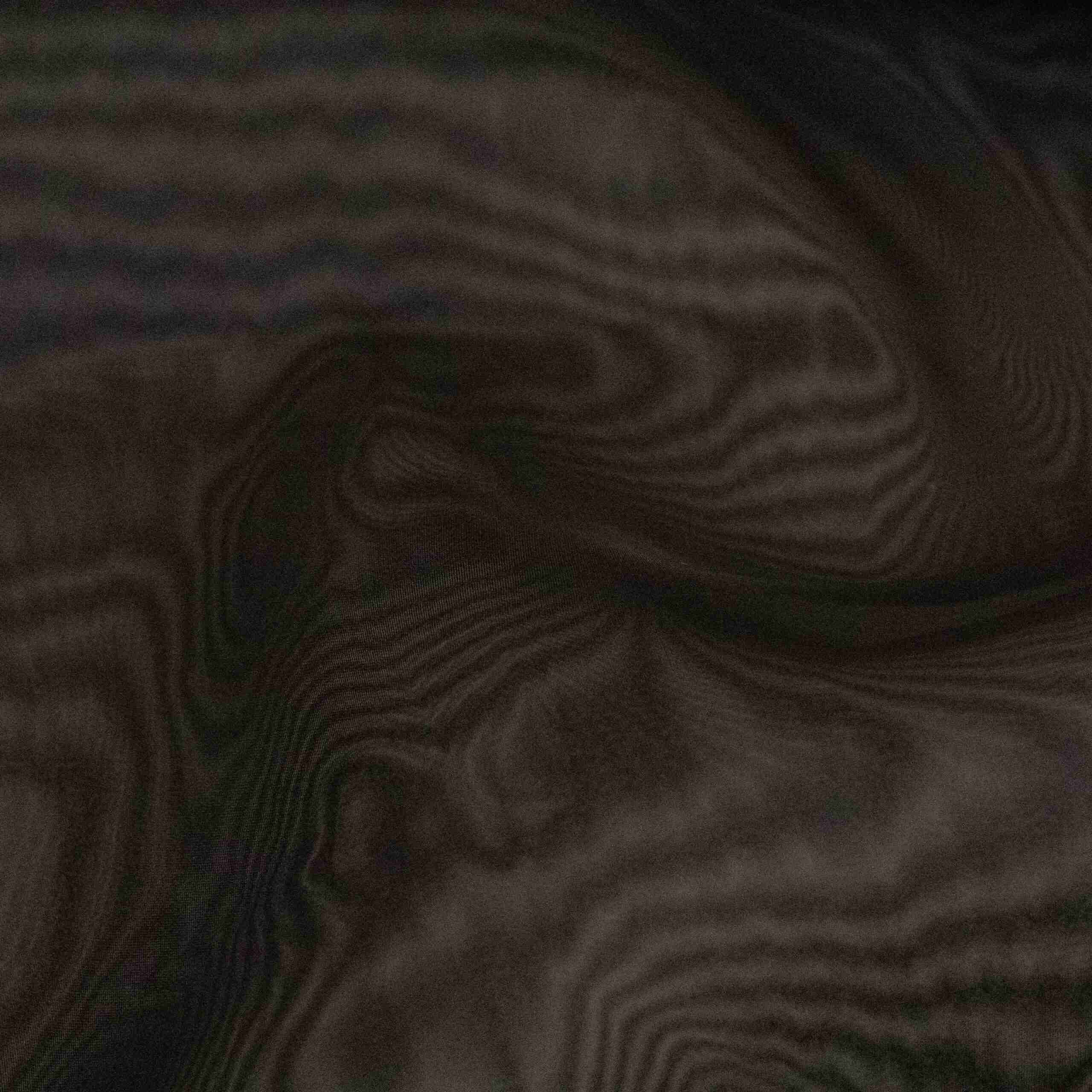 DYED CYRSTAL ORGANDY (LAW_4487)